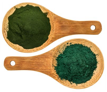 chlorella ans spirulina supplemt powder - top view of isolated wooden spoons