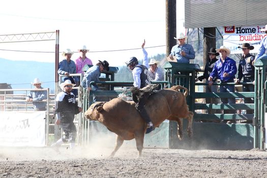 MERRITT, B.C. CANADA - May 30, 2015: Bull rider riding in the first round of The 3rd Annual Ty Pozzobon Invitational PBR Event.
