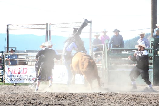 MERRITT, B.C. CANADA - May 30, 2015: Bull rider riding in the first round of The 3rd Annual Ty Pozzobon Invitational PBR Event.
