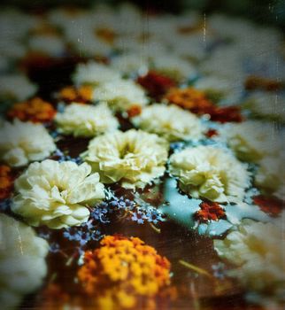 Flowers on water with vignette, film grain and scratches for a vintage look