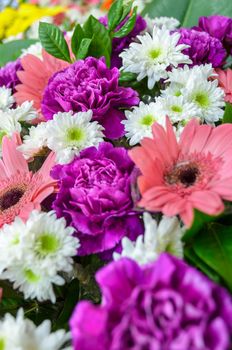 Carnation purple and colorful flowers bouquet decorated with green leaf in florist