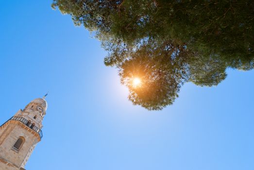 Canopy of tall trees framing a clear blue sky, with the sun shining through and tower of church