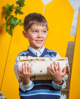 Portrait of a cute little boy with pile of firewood at yellow fence background
