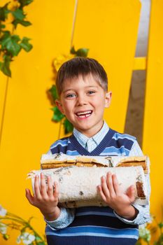 Portrait of a cute little boy with pile of firewood at yellow fence background