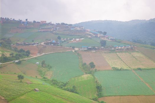 Agricultural lands in the mountains Villagers cultivated crops on the mountain in general.