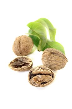 Walnut with walnut leaves on a bright background