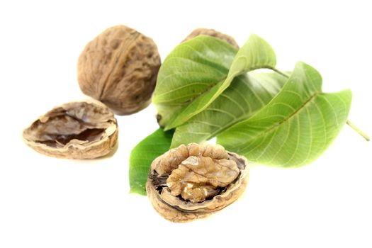 crunchy walnuts with walnut leaves on a bright background