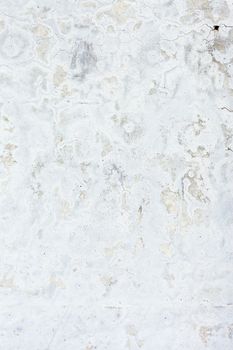 Grunge white background cement old texture wall