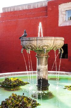 Santa Catalina monastery fountain in Arequipa with a pidgeon on it, Peru