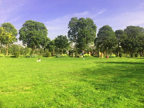 green landscape and trees and sky for multi use