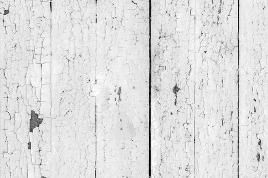 High resolution white wood background With Natural Patterns