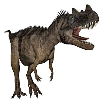 Ceratosaurus dinosaur roaring isolated in white background - 3D render