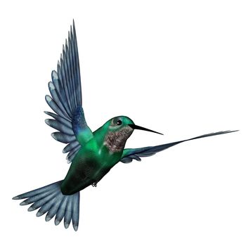 Emerald hummingbird flying isolated in white background - 3D render