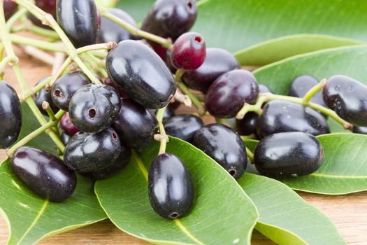 Jambolan plum or Java plum with grean leaves on wooden plate scientific name is 'Syzygium cumini (L) Skeels.'