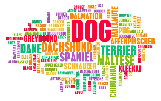 All Types of Dogs and Every Breed as Concept