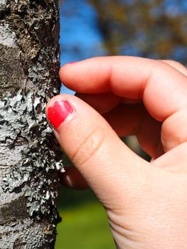 Little girl with cracked pink nail paint touching lichen on tree trunk