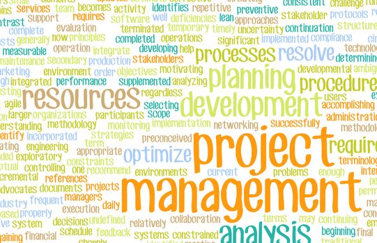 Project Management or a Project Manager as Concept
