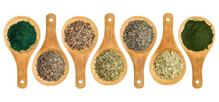 seaweed and algae nutrition supplements (Irish moss, wakame, bladderwrack, wakame, kelp, spirulina,chlorella) - top view of isolated wooden spoons