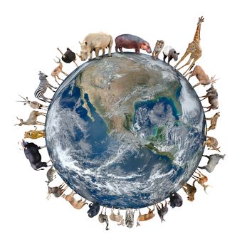 animal stand around the world isolated on white background,Element of this image are furnished by NASA