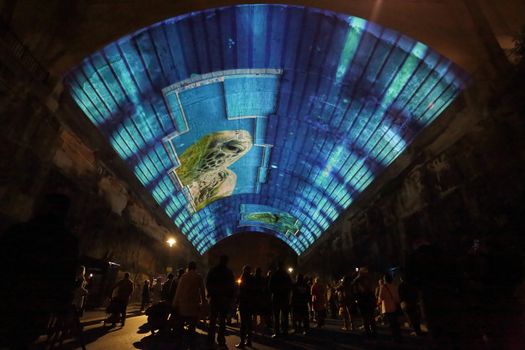 SYDNEY, AUSTRALIA - JUNE 3, 2015 -  Public and tourists watch in awe the amazing projection pictures of Life Story  in the Argyle Cut (tunnel)  from Argyle Street the Rocks-  with sound and editorial narration by Sir David Attenborough for Vivid Sydney. High ISO