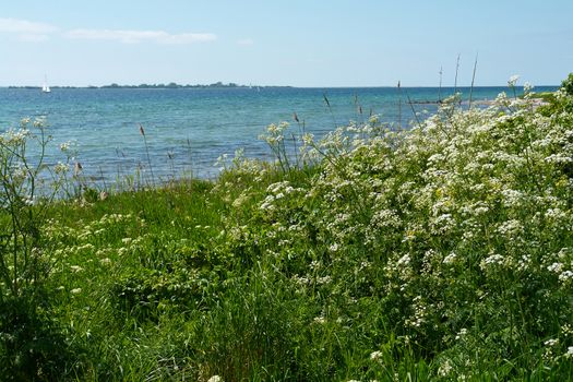 Beautiful coast line ocean beach landscape Funen Denmark                               
