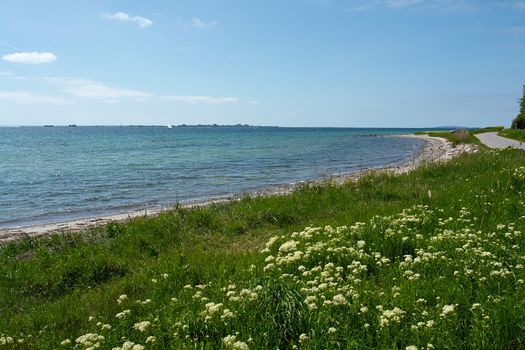 Beautiful coast line ocean beach landscape Funen Denmark