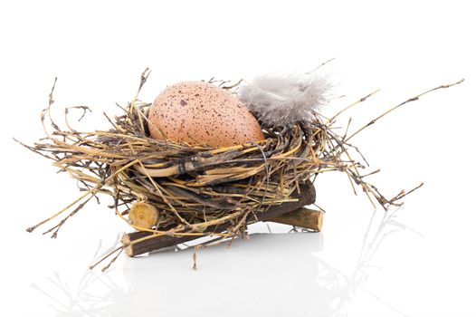 Easter egg in birds nest isolated on white background