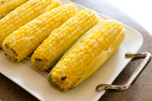 Row of delicious boiled fresh corn cobs for a healthy snack served with butter on a platter, close up view