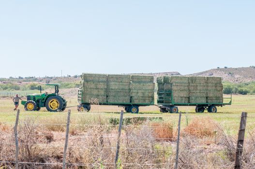 OUDTSHOORN, SOUTH AFRICA - JANUARY 2, 2015: An unidentified farmer with his tractor and wagon with bales of hay