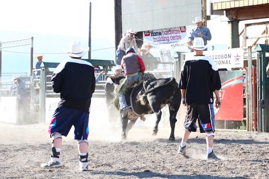 MERRITT, B.C. CANADA - May 30, 2015: Bull rider riding in the first round of The 3rd Annual Ty Pozzobon Invitational PBR Event.