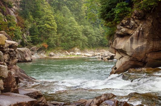 mountain river with rocks