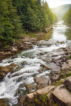 Fast river in a mountain forest on a sunny day