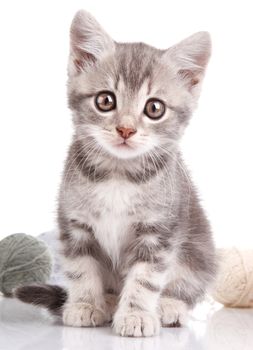 cute gray kitten with a balls on a white background