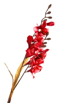 red artifical flowers isolated on white