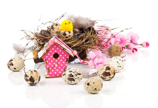 easter decoration on white background with quail eggs and with birdhouse, with space for text