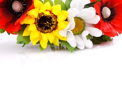 colorful flowers isolated on white