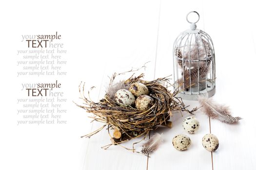 quail eggs with birdcage on white wooden background, with space for text