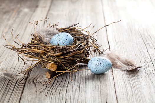 eggs in nest on wooden background