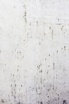 Grunge white background cement old texture wall