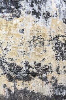 Grungy Concrete background cement old texture wall