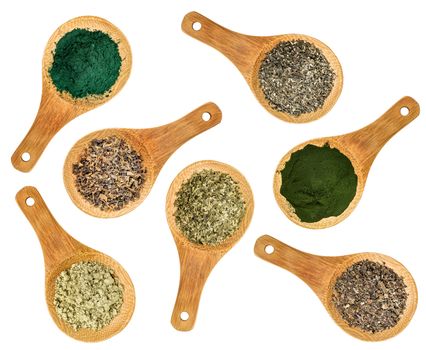 seaweed and algae nutrition supplements (Irish moss, wakame, bladderwrack, wakame, kelp, spirulina,chlorella) - top view of isolated wooden spoons