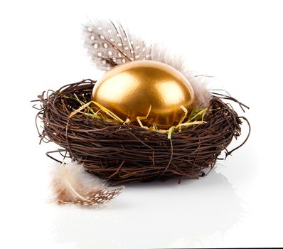 Golden egg in nest on white background