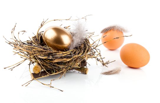 Golden egg in nest on white background