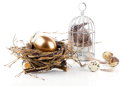 golden egg in nest space for text, on white background