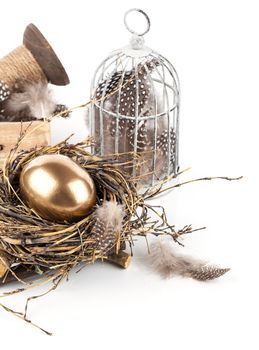 golden egg in nest space for text, on white background