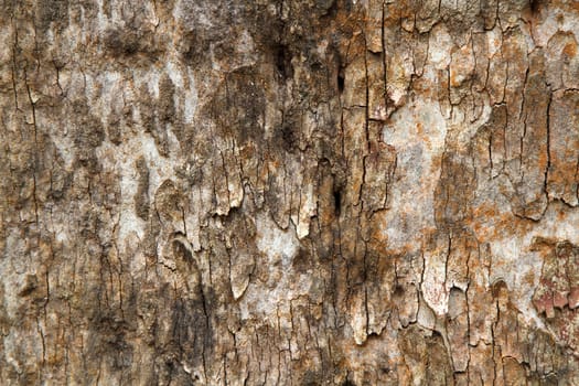 Old concrete wall texture with for background