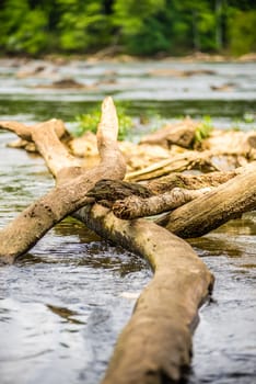 scenes around landsford canal state park in south carolina