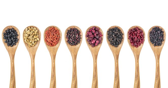 healthy dried berry collection (blueberry, mulberry, cherry, goji, elderberry, chokeberry, cranberry) on isolated wooden spoons, top view