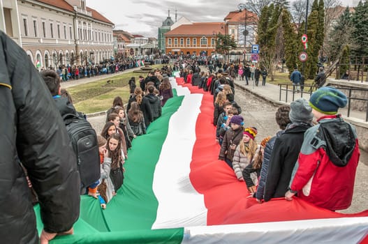 Hungary 's Day , celebrated in Saint George city , Romania!