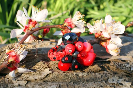Handmade glass ring with apricot blossom in spring on the nature background